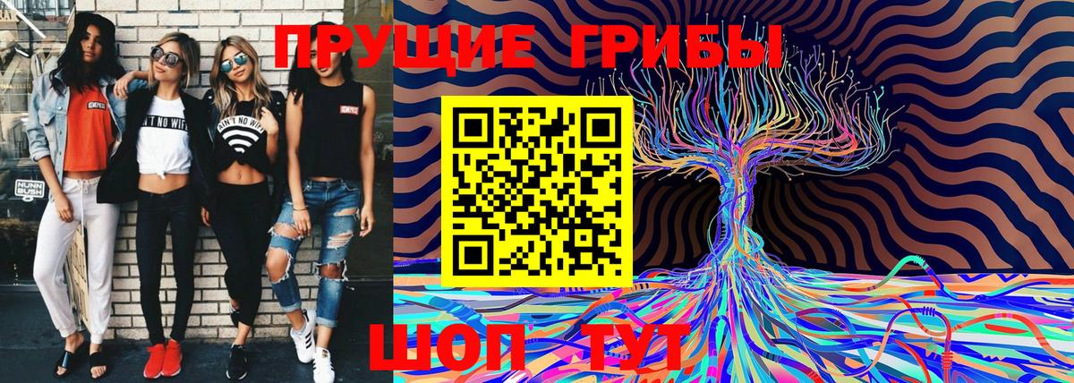 Псилоцибиновые грибы GOLDEN TEACHER  Вход с VPN  Кувандык 