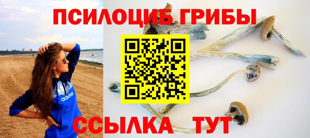 Псилоцибиновые грибы мухоморы Кувандык